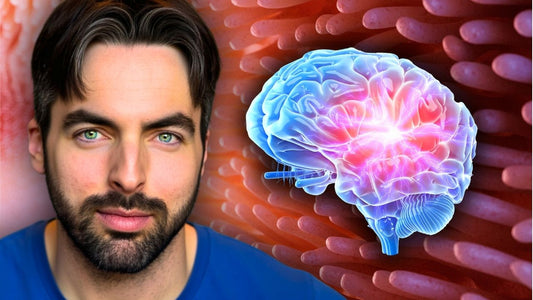 Microbiota intestinale e cervello: come influenzano ansia e depressione